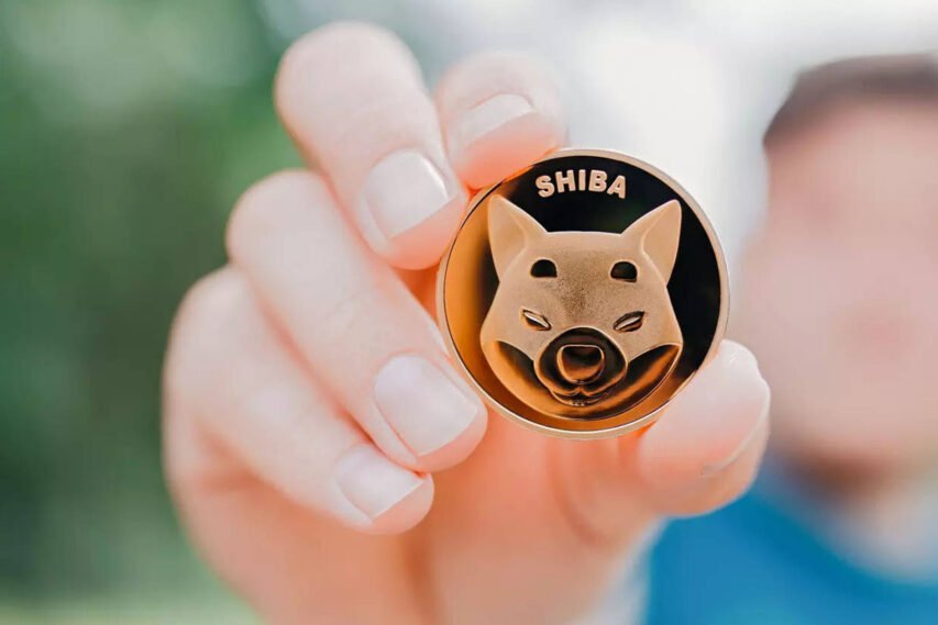 SHIBA INU NOW RANKED #9TH CRYPTOCURRENCY IN THE WORLD